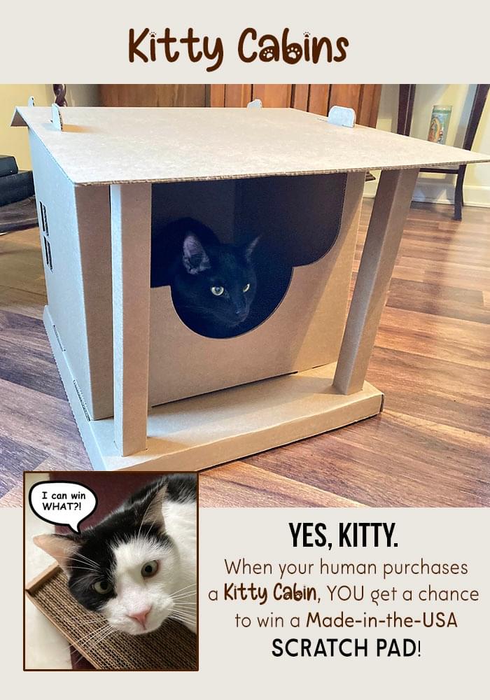 Eco-Friendly Kitty Cabins